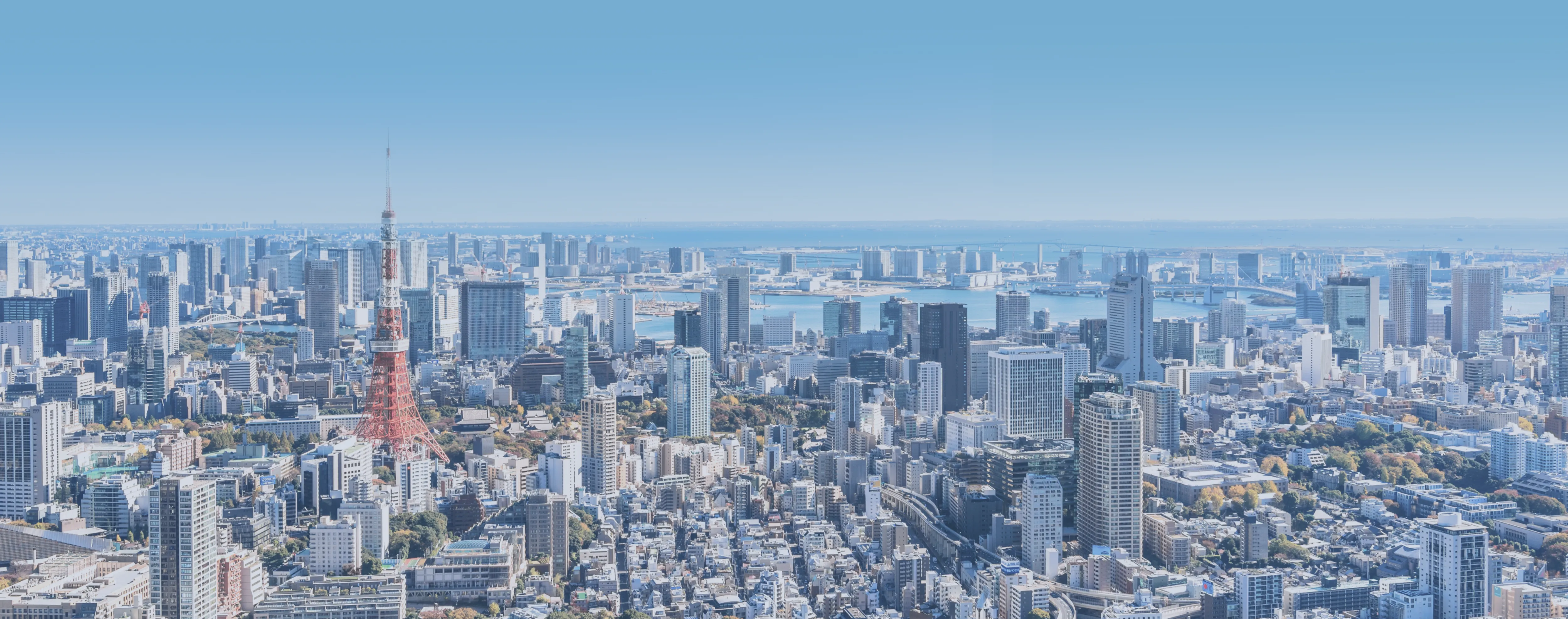 私たちの特長イメージ