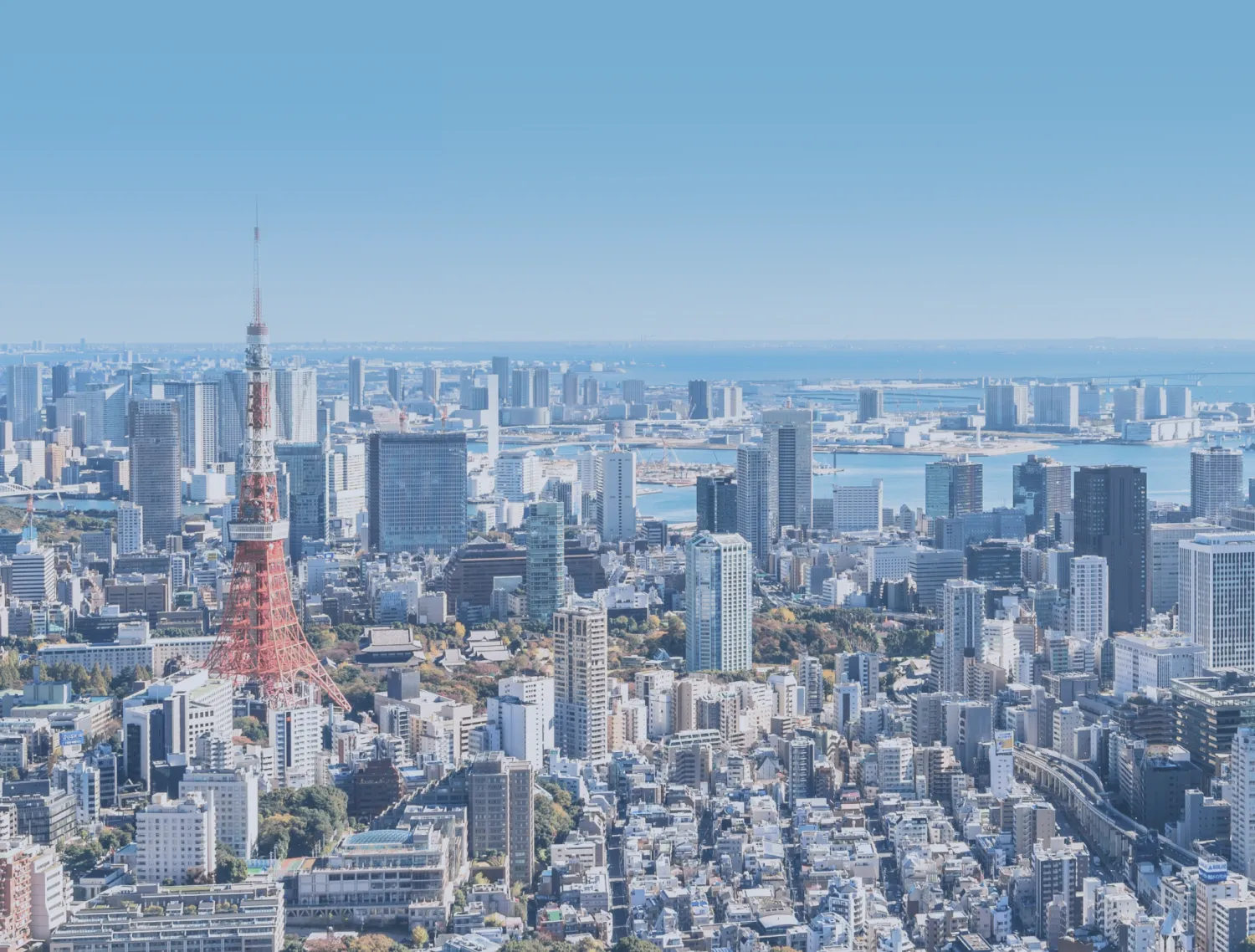 私たちの特長イメージ